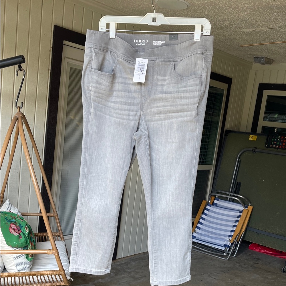 Torrid Women's Light Gray Jeggings